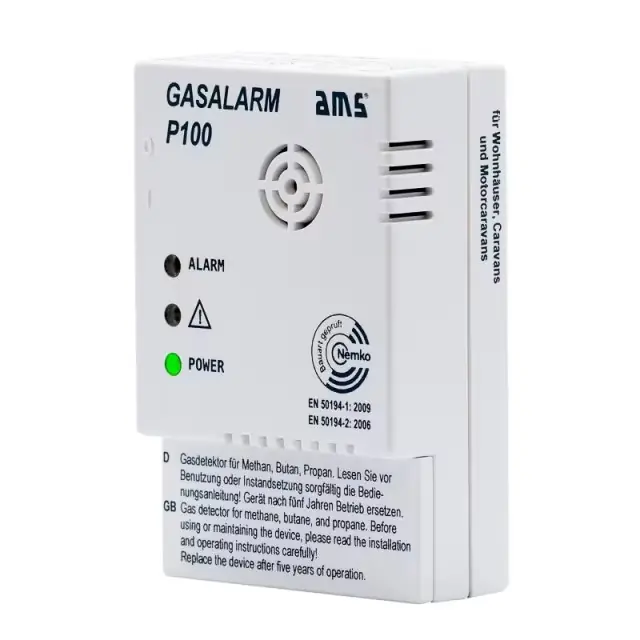 Garantierte Lieferung Gasalarm P100