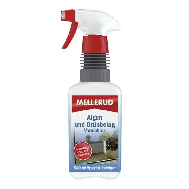 Expressversand Algen und Grünbelag Vernichter 0,5 l Sprühflasche