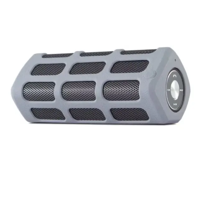 Neu Bluespeaker OD 300