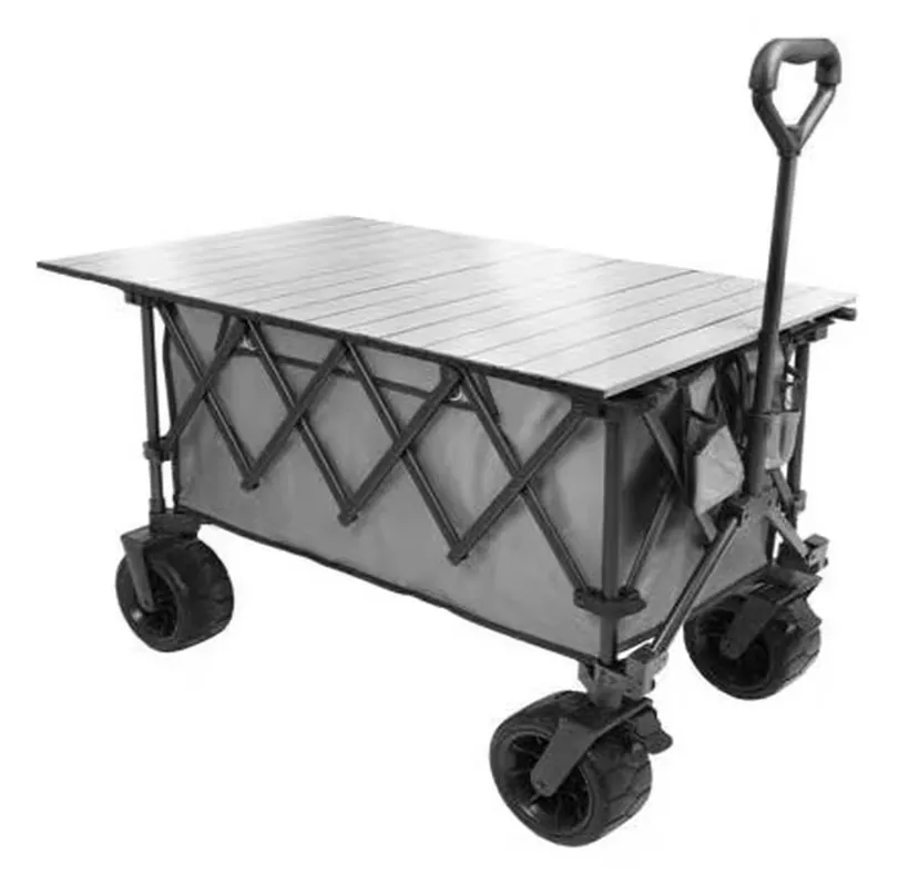Geprüft Cargo Beachwagen