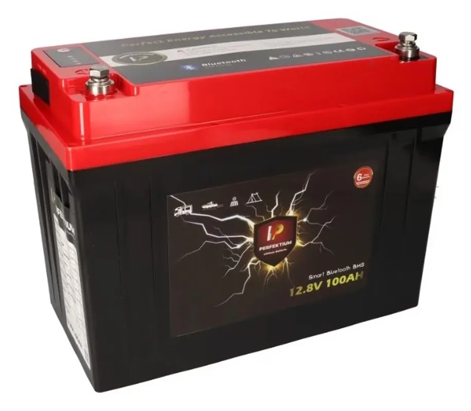 Lithium Batt. 12,8 V 100 Ah mit Heizung Expressversand