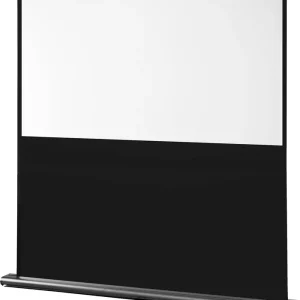 Celexon Ultramobil Professional Leinwand Kracherpreis