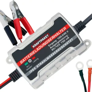 Jetzt Kaufen Dino Kraftpaket Batterie Erhaltungsladegerät 6 V /12 V 750 mA