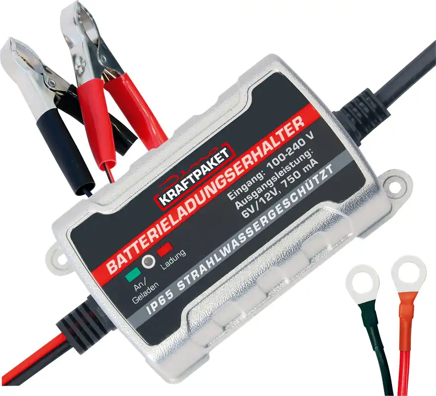 Jetzt Kaufen Dino Kraftpaket Batterie Erhaltungsladegerät 6 V /12 V 750 mA