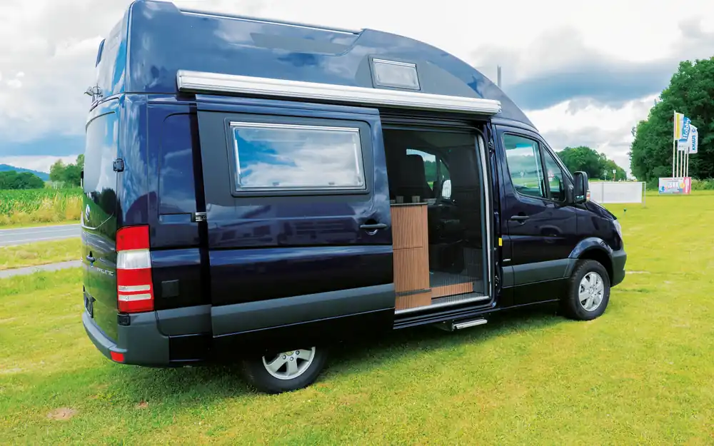 Remis REMIcare Tür-Insektenschutz Mercedes Sprinter / VW Crafter Bj. 2006-2016 Begrenztes Angebot