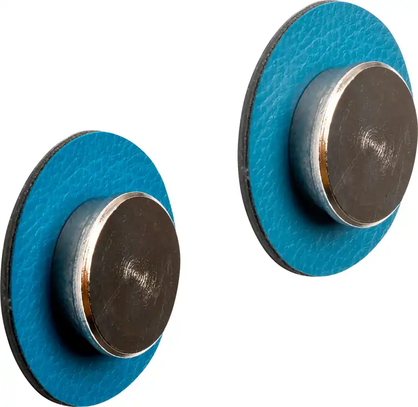 Sonderangebot Silwy Smart Magnet-Pins inkl. Metall Nano Gel Pads
