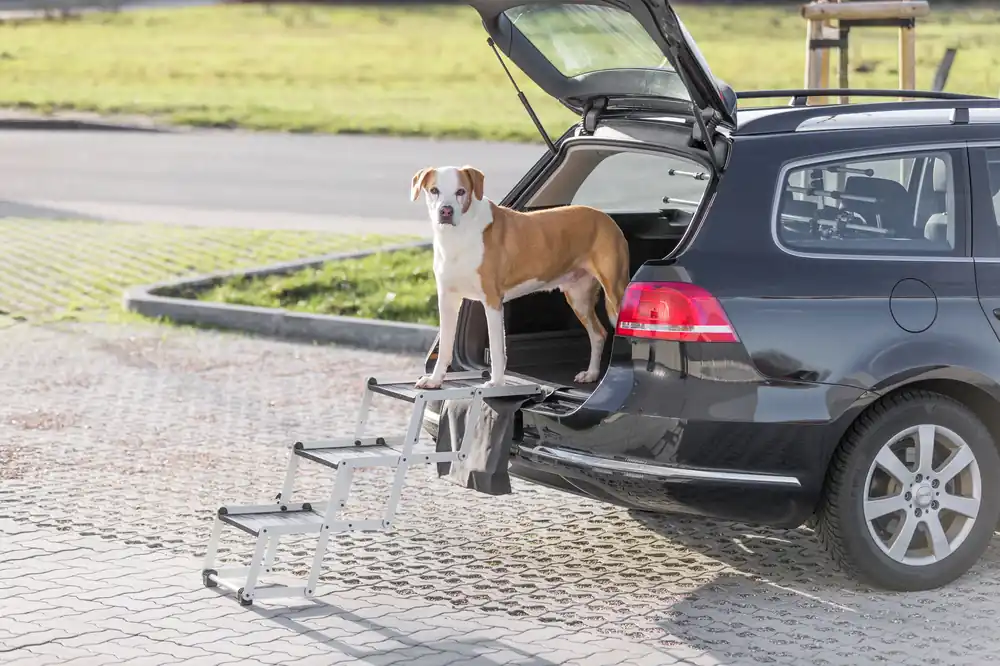 TRIXIE Aluminium Falt-Treppe für Hunde Neue Ware