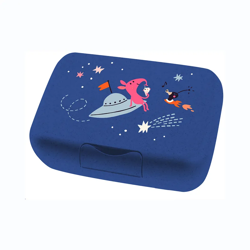 Solange Der Vorrat Reicht Koziol Candy L Box Lunchbox / Brotdose mit Trennschale