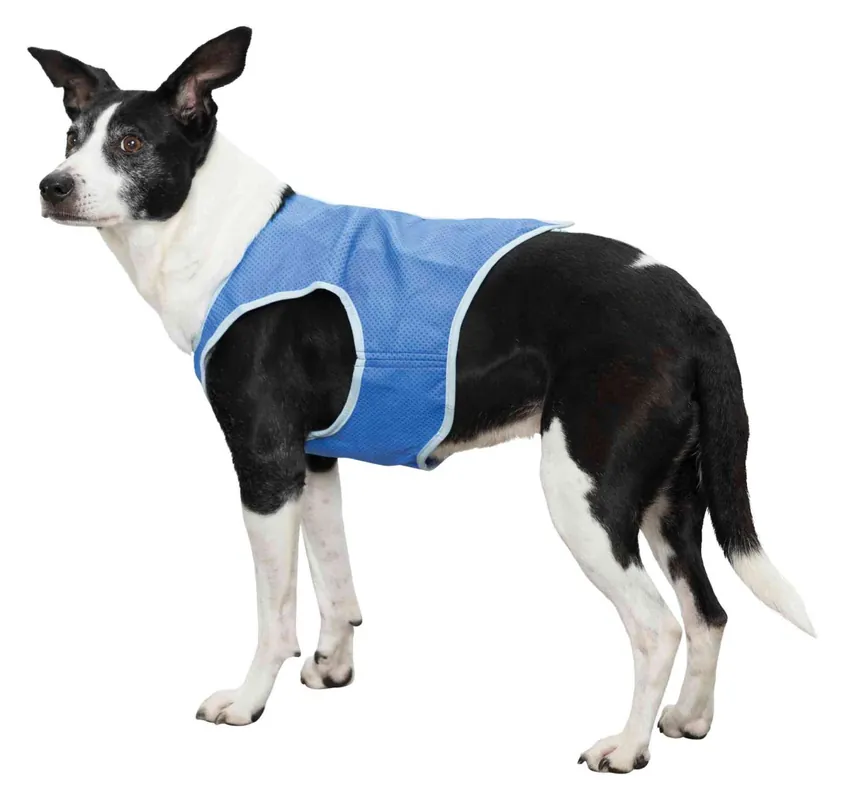 Mega-Angebot Trixie Hunde Kühlweste XS 20 cm blau