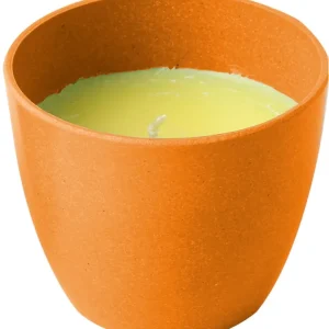 Brunner Citronella Kerze Letzte Chance