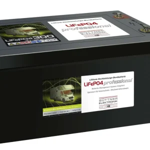 Finale Aktion Büttner Elektronik MT Lithium-Power-Batterie Bord-Versorgungsbatterie