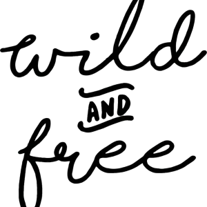 Neue Ware Advanture Shop Wild and Free Autoaufkleber 13,8 x 15 cm