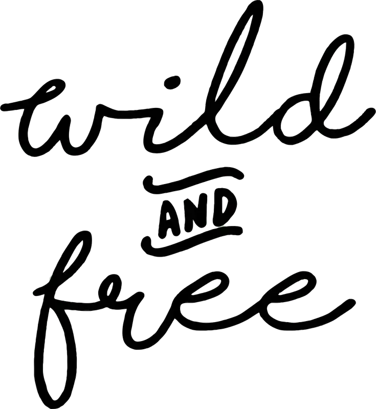 Neue Ware Advanture Shop Wild and Free Autoaufkleber 13,8 x 15 cm