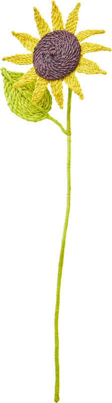 Rice Raffia Blume Sichere Zahlung