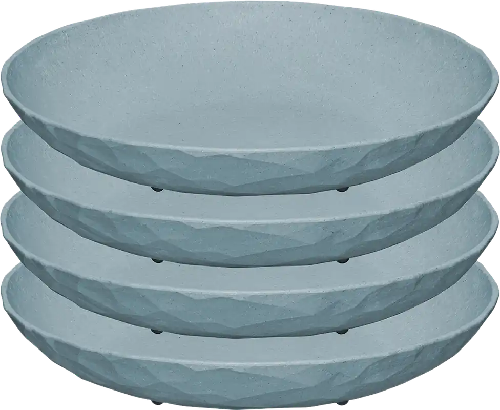 Koziol tiefer Teller 220 mm CLUB PLATE nature flower blue 4er-Set Solange Der Vorrat Reicht