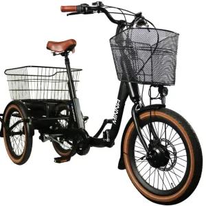Sonderaktion Blaupunkt E-Trike / E-Lastenrad Minna 20 Zoll 250W