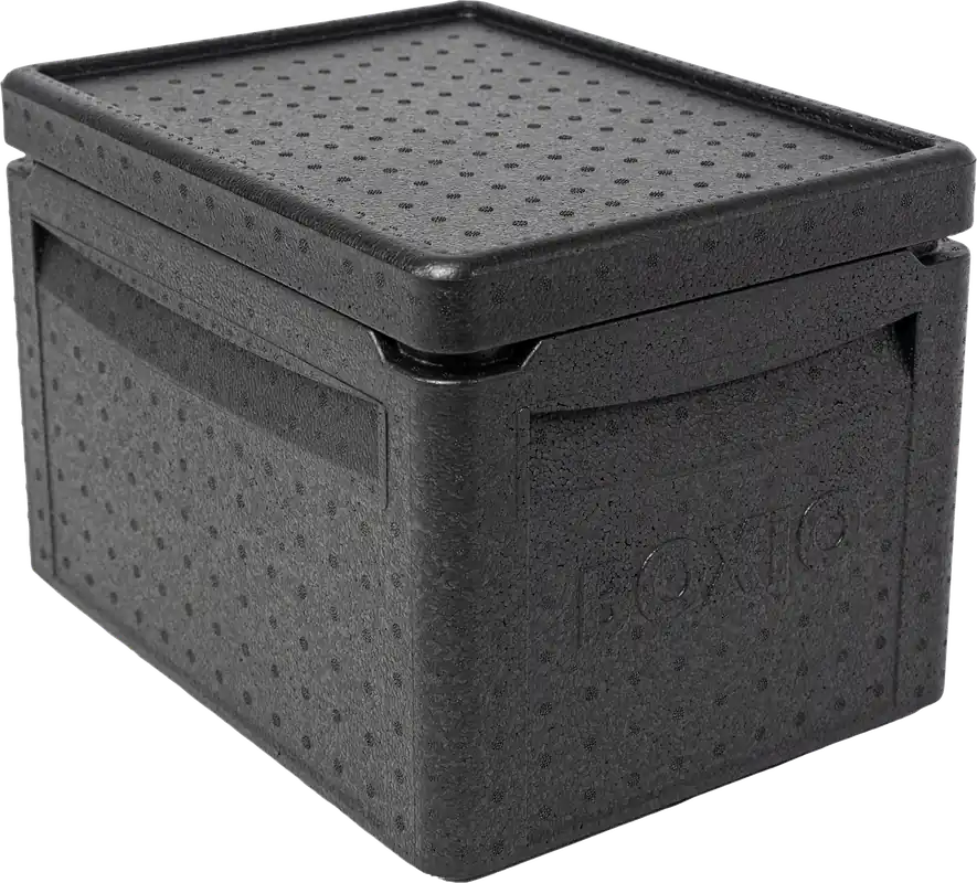 Boxio Cool passive Kühlbox Jetzt Bestellen