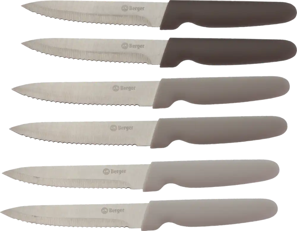 Kracherpreis Berger Edelstahl Steakmesser-Set 6-tlg.