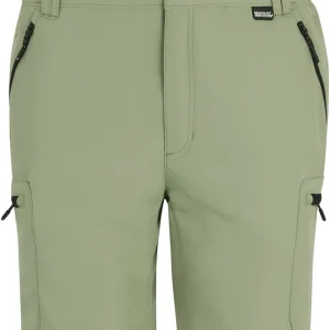 Neu Im Sortiment Regatta Leesville III Herren Wanderhose