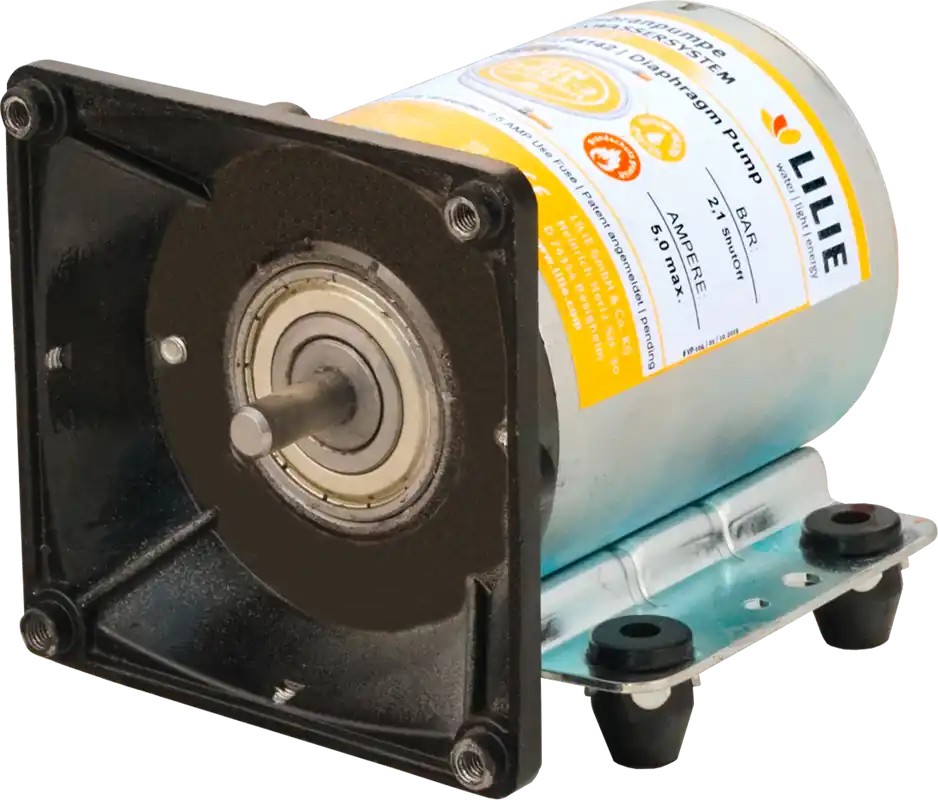 Lilie Motor Ersatzantrieb 12,9 cm Höhe passend für LP4121 Membran Wasserpumpe Rabatt