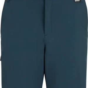 Direkt Vom Hersteller Regatta Anti Insect Travel Light Herren Outdoorshorts