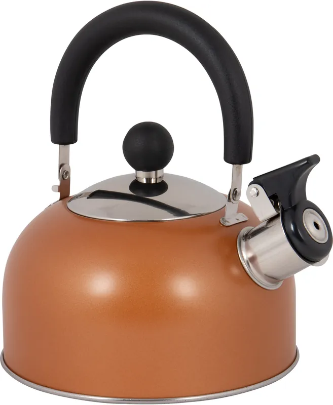 Günstig Bo-Camp Rhoda Flötenkessel Edelstahl 1,2 Liter Induktion