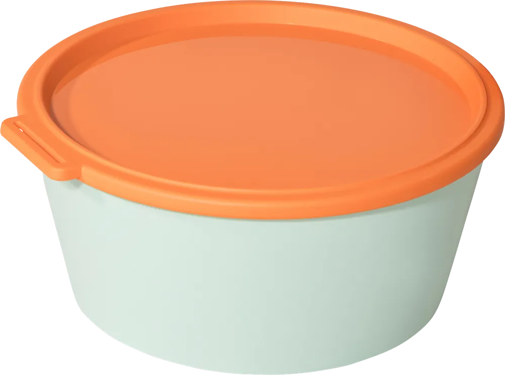 Koziol Nora Box Schale mit Deckel 2,2 Liter Sale