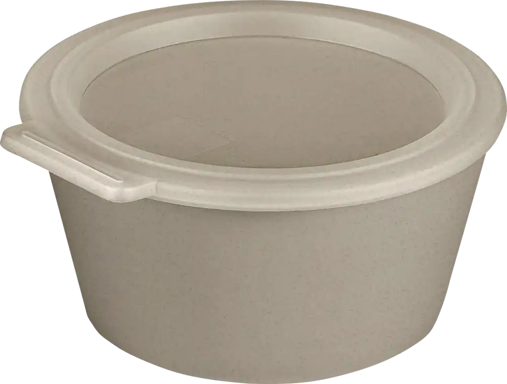 Koziol Move Box Schale mit Deckel 700 ml Sonderaktion