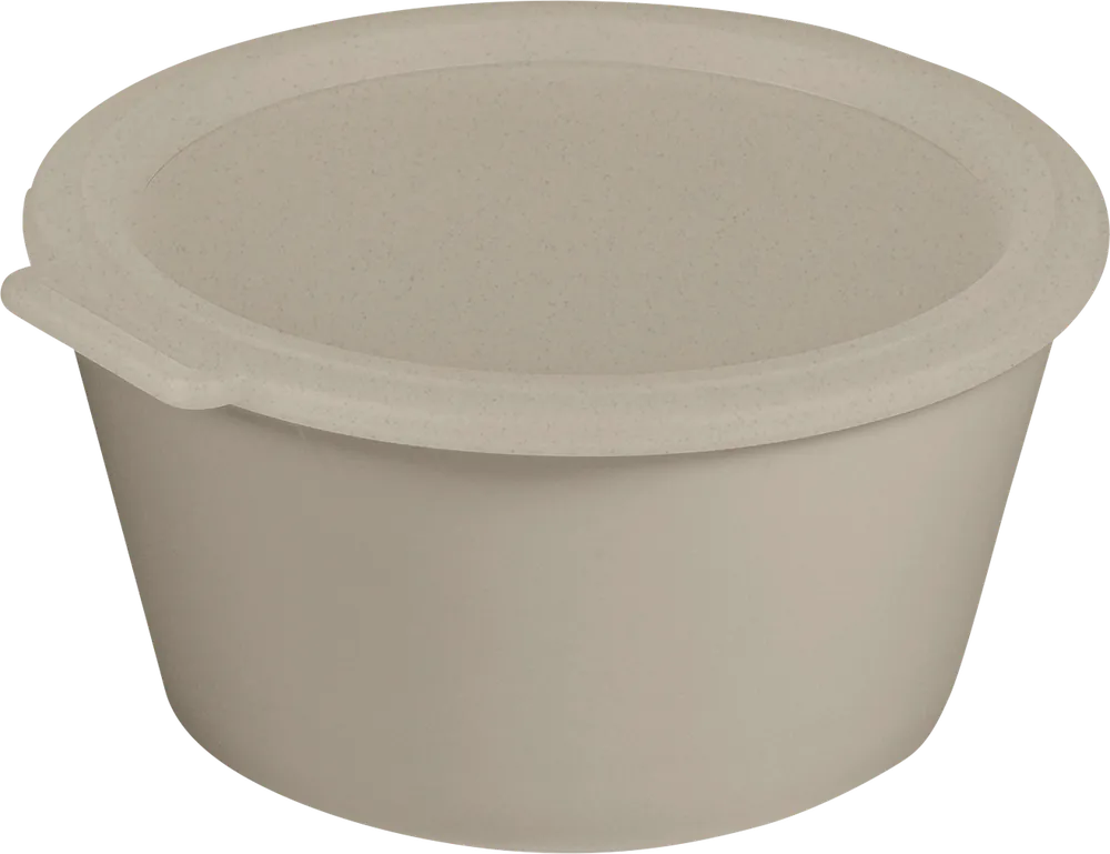 Highlight Koziol Move Box Schale mit Deckel 2,2 Liter