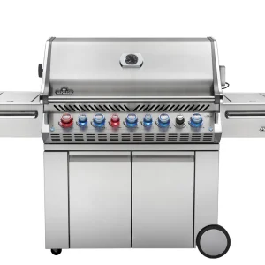 NAPOLEON Prestige Pro 665 Günstig