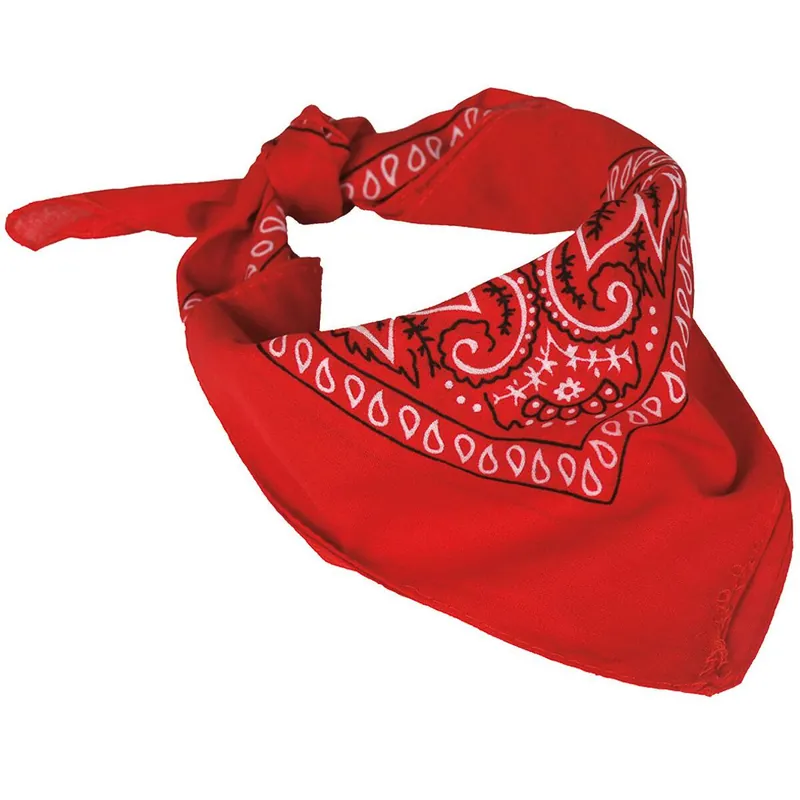 Bandana (US Halstuch) Paisley rot Echt
