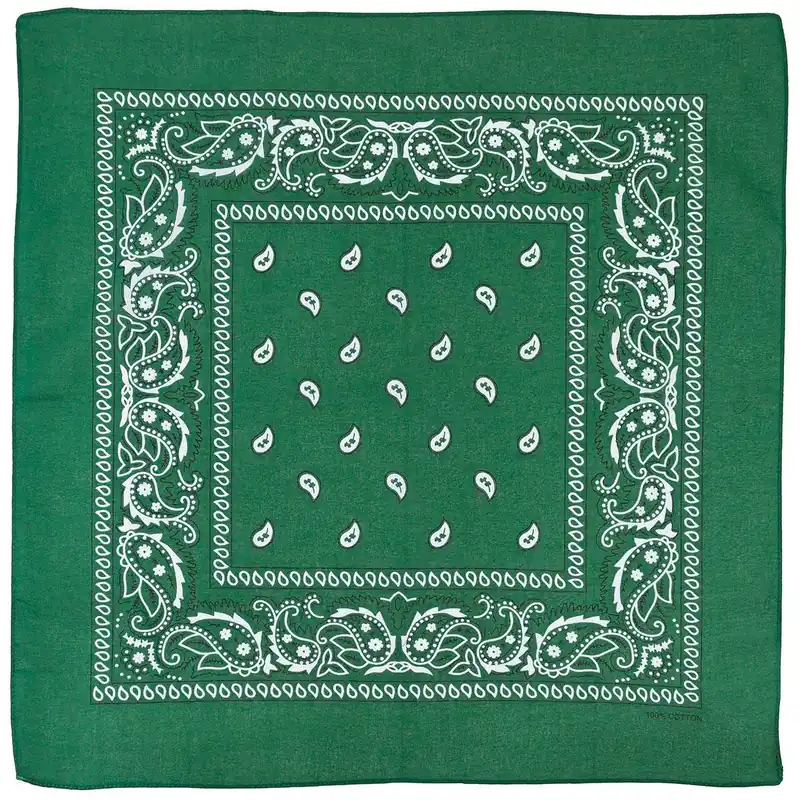 Saisonangebot Bandana (US Halstuch) Paisley oliv