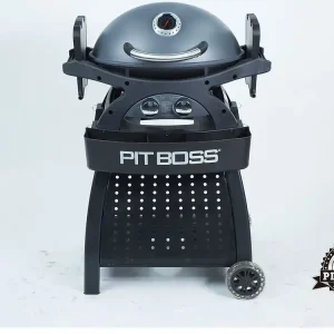 Meistverkauft Pit Boss Sportsman 2 Grey mit Unterwagen