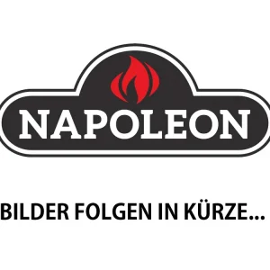 Wochenendangebot Napoleon Gasverteiler Gasleitung inkl. Gasregler Rogue SE / PRO-S 525