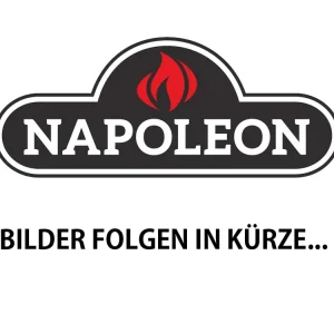 Ausverkauf Napoleon Drehknopf SCHWARZ für Rogue / Rogue XT