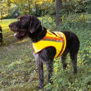 Reflektorweste für Hunde - verschiedene Größen Wochenendangebot