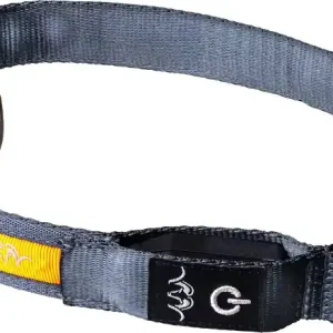 Blaser LED Hundehalsband Neuheit