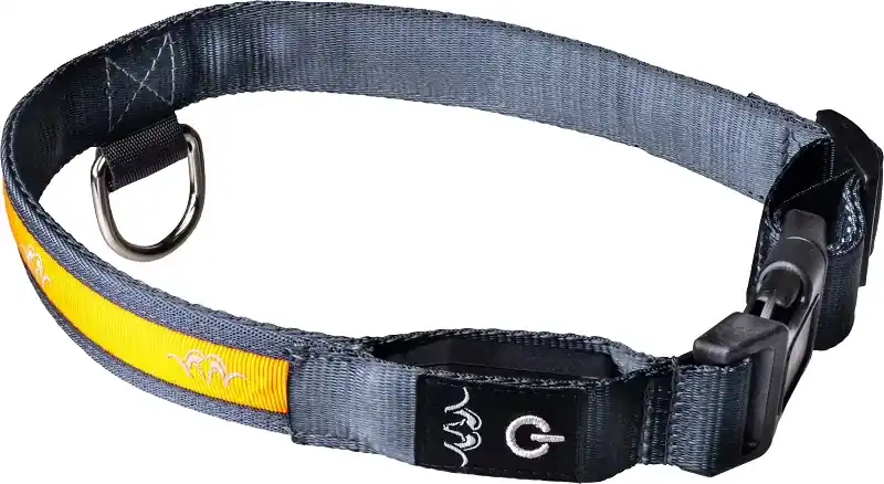 Blaser LED Hundehalsband Neuheit