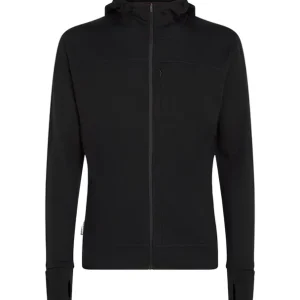 Icebreaker 300 RealFleece Descender Zip Hoodie Herren neues Modell Must-Have