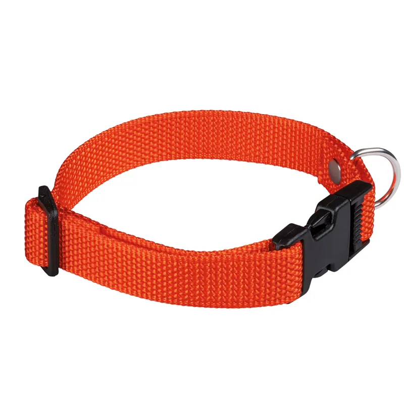 Ausverkauf AKAH Welpenhalsband orange